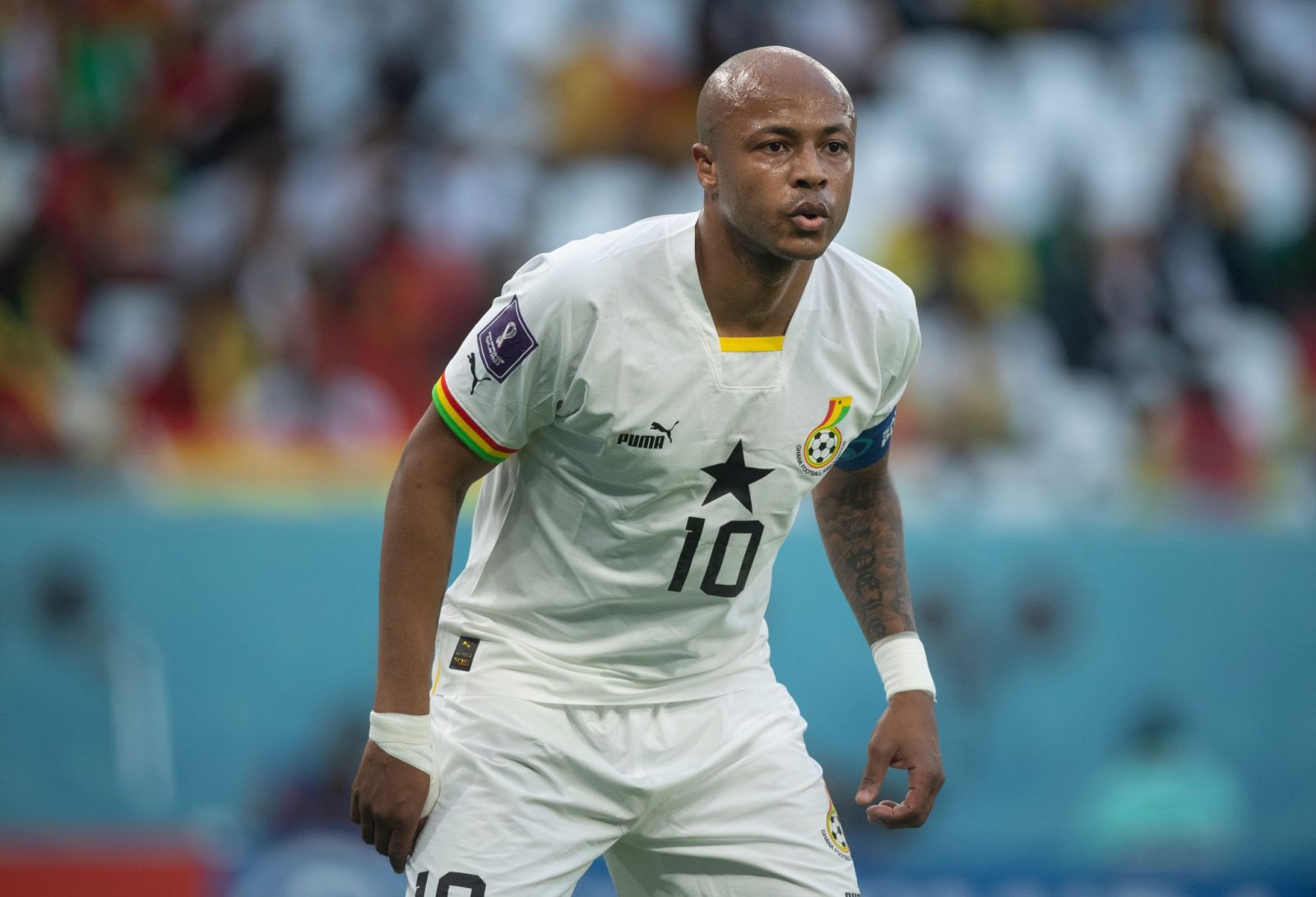 Black Stars: Otto Addo opens