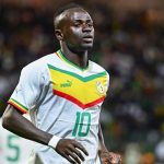 senegal star mane