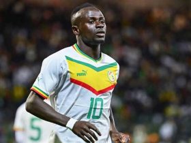 senegal star mane