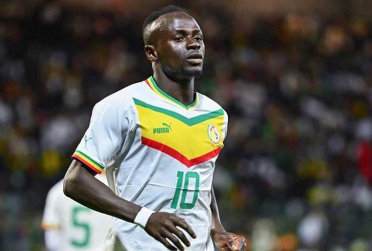 senegal star mane