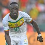 senegal star mane