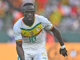 senegal star mane