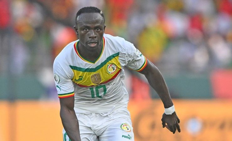 senegal star mane