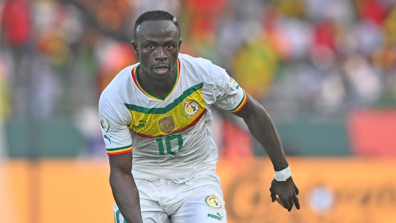 senegal star mane