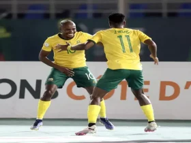 south Africa players celebrating
