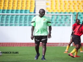 Black princesses coach