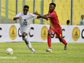 Black Satellites