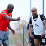 Andre Ayew