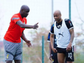 Andre Ayew