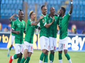 Madagascar Soar to Top of Group I in World Cup Qualifiers With Victory Over Comoros